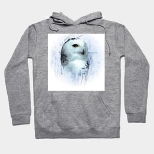 Snowy owl Hoodie